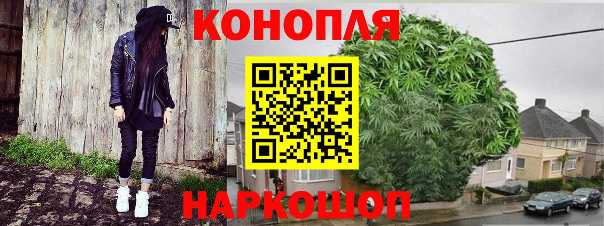 Марихуана семена  Бошки Шишки сатива  Вход с VPN  Шишки марихуана ГИДРОПОН  Хасавюрт 